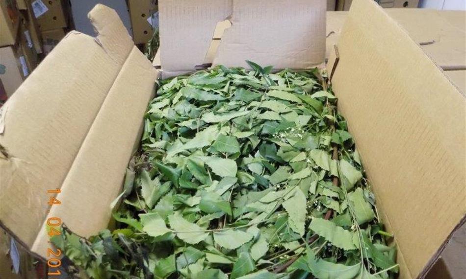 2016-4-18-108foto 3 listy.jpg